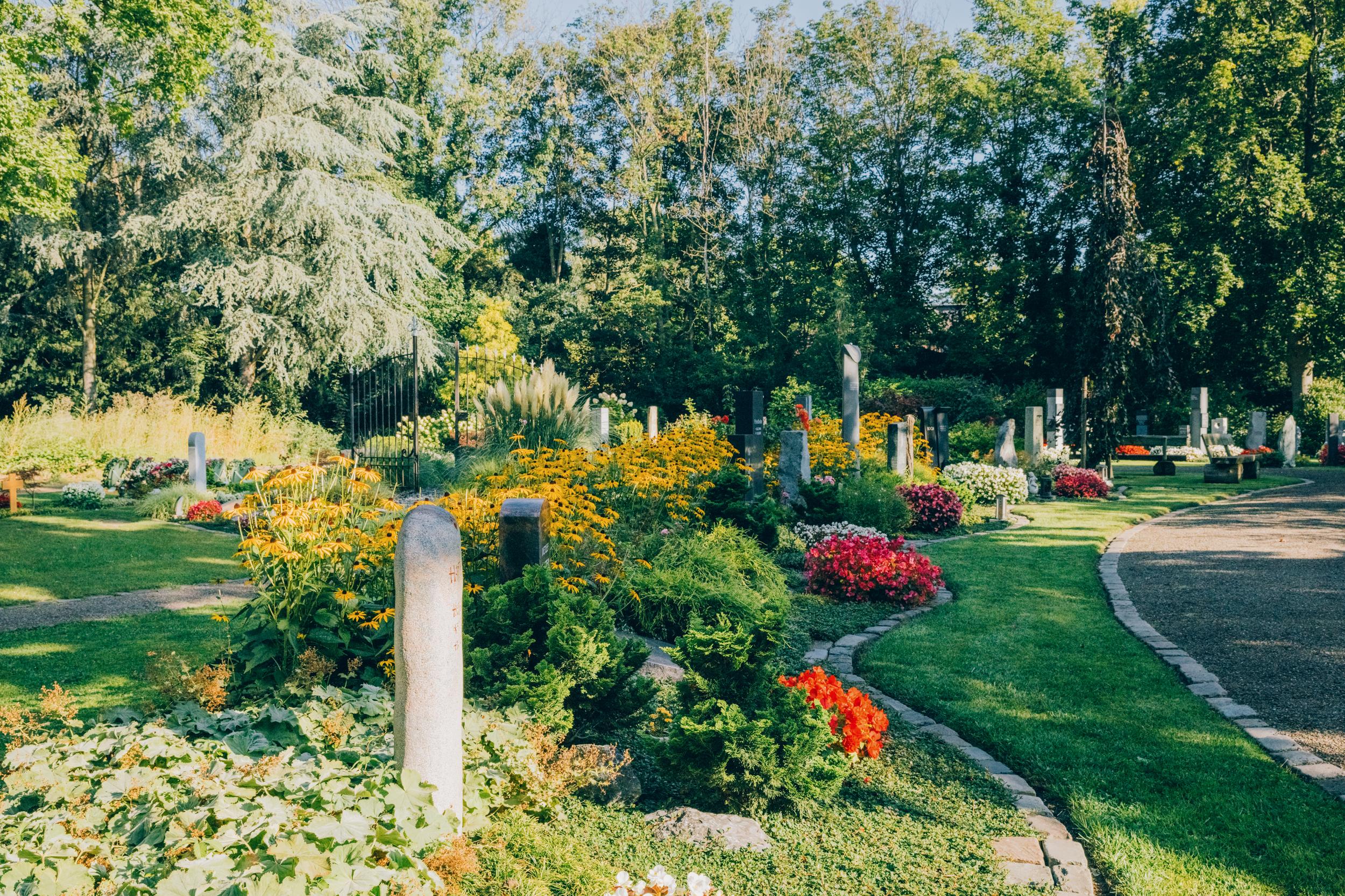 Friedhof, Gräberfeld mit Stelen