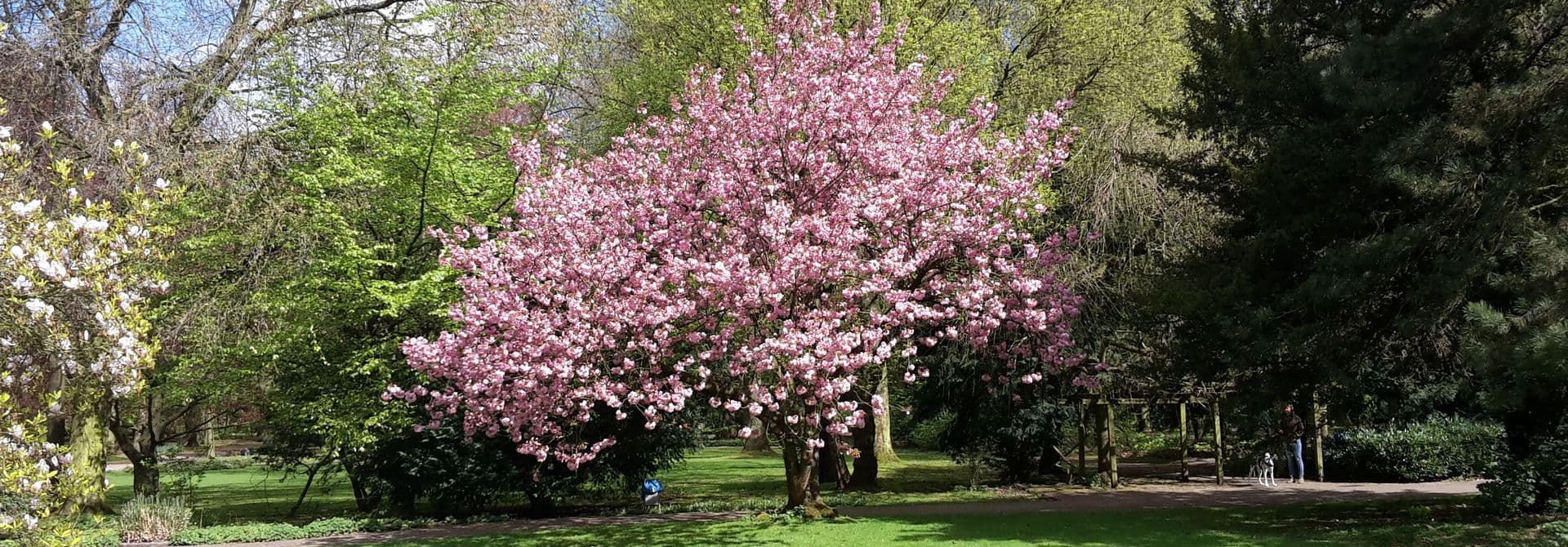 Volkspark Rheinhausen