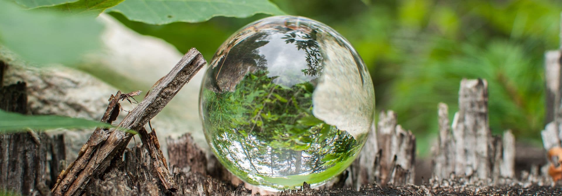 Glaskugel auf Holzstamm