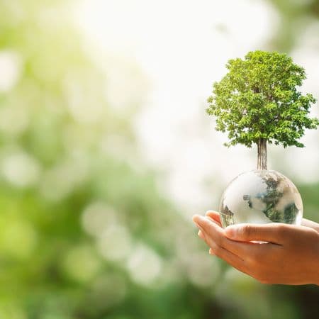 Baum mit Kugel in der Hand