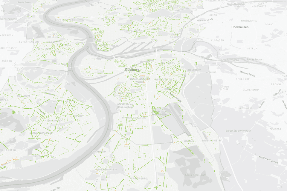 Straßenbäume Straßenbäume