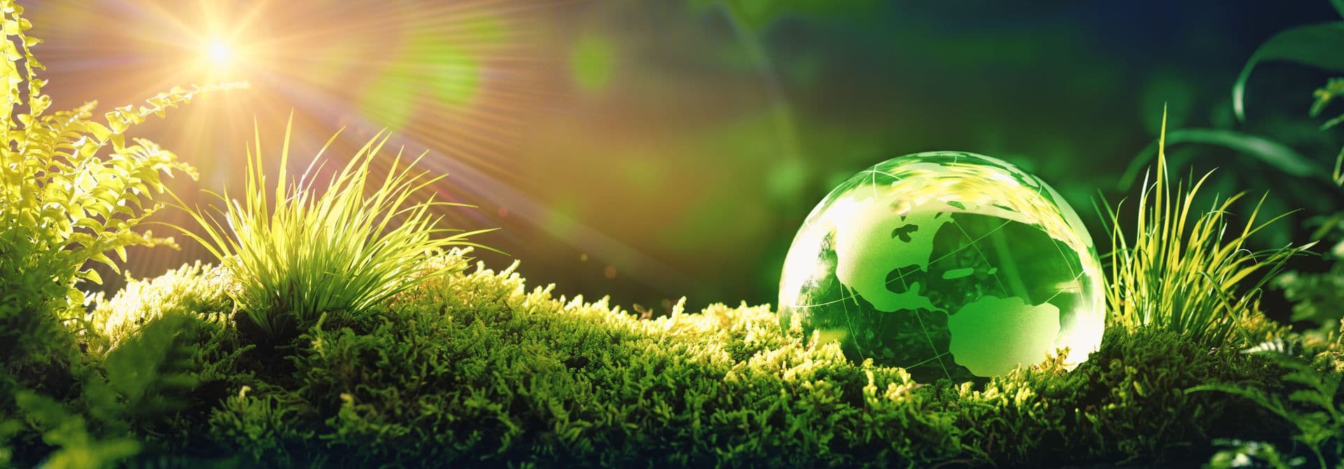 Rohstoffretter Rohstoffretter