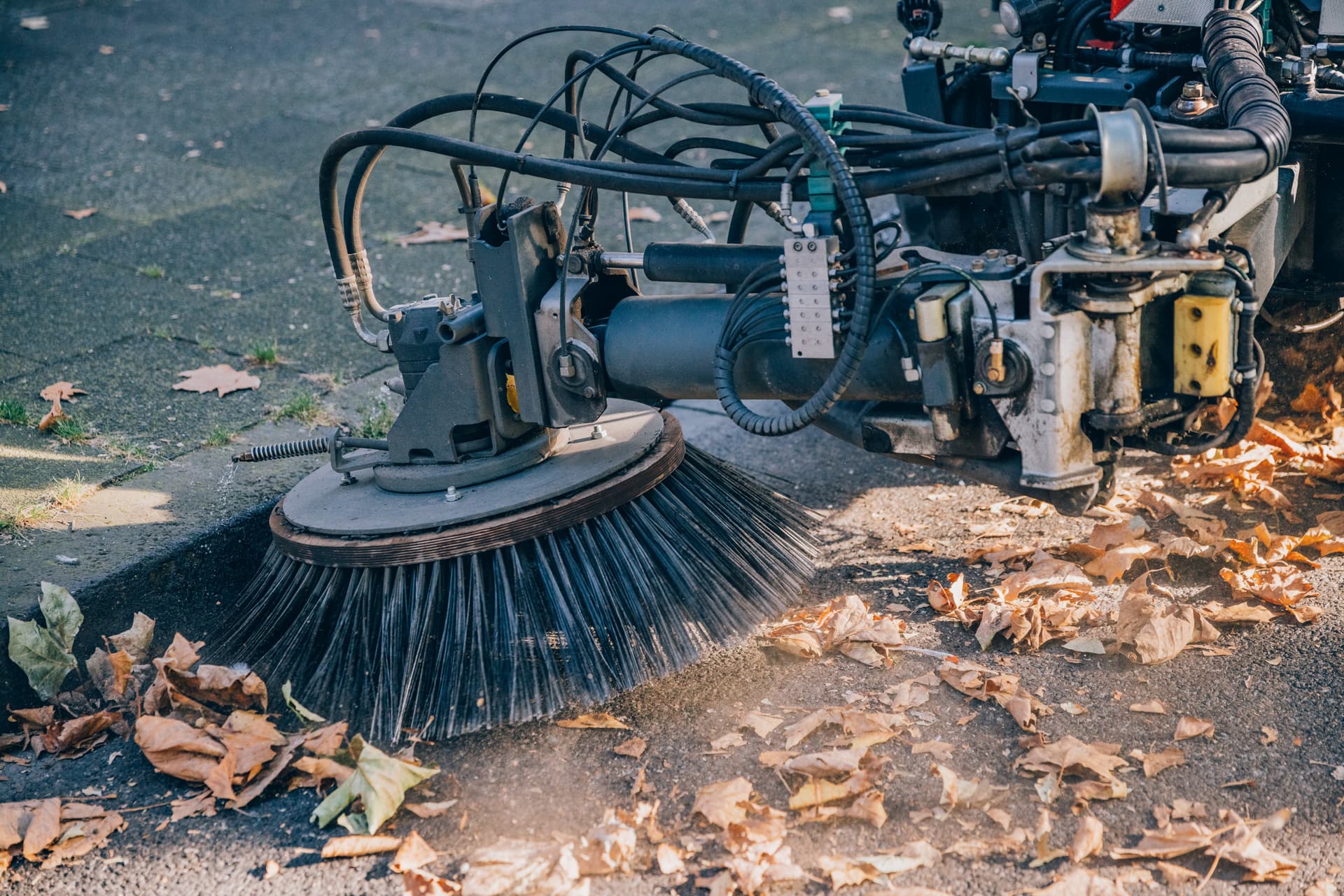 Straßenreinigung Ein Tellerbesen einer Kehrmaschine fegt Laub aus dem Rinnstein auf die Straße