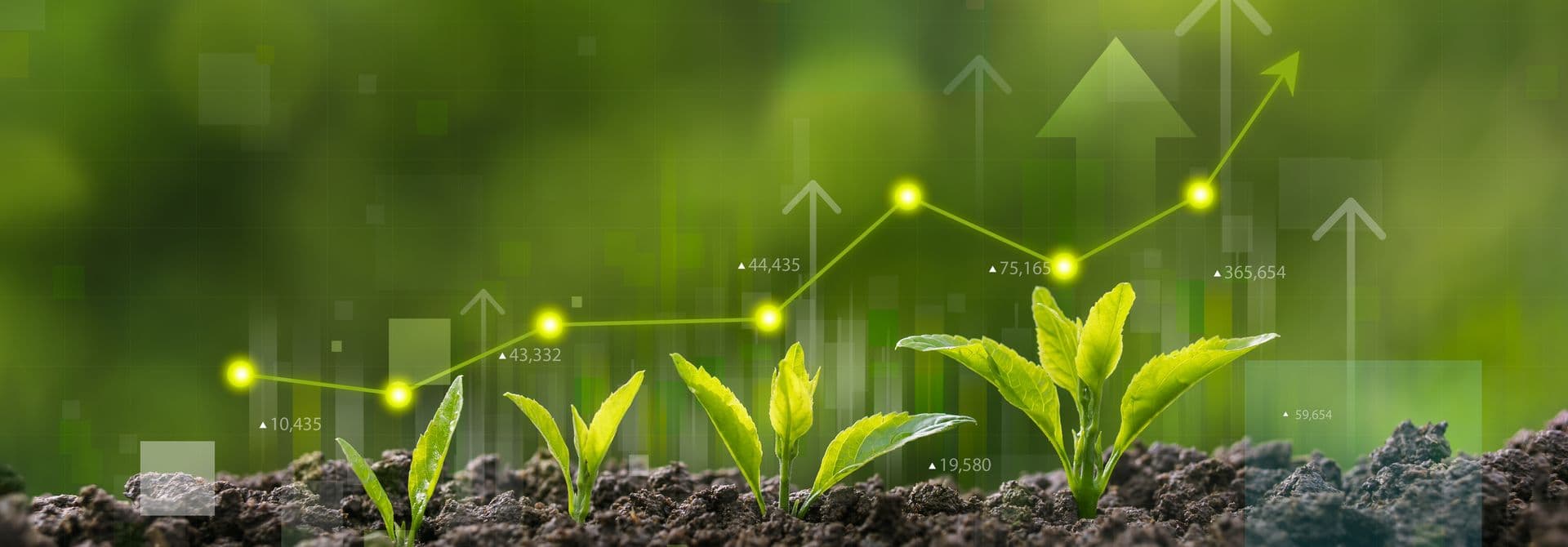 Umweltdaten Kleine Pflanzen wachsen aus brauner Erde, Messeinheiten sind dargestellt.