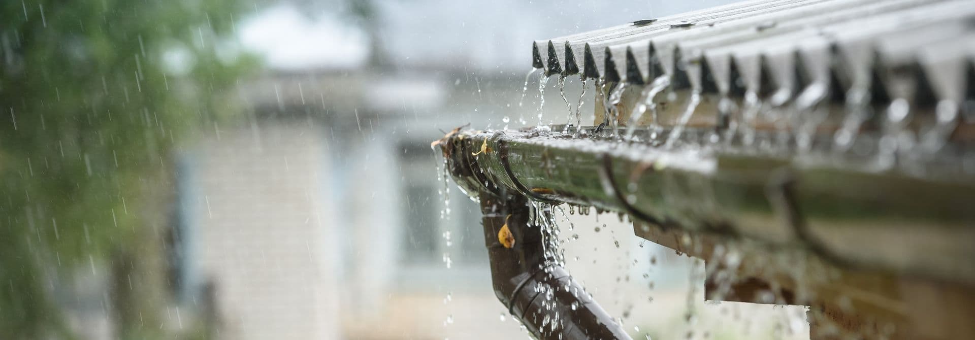Niederschlagswasser Regenwasser