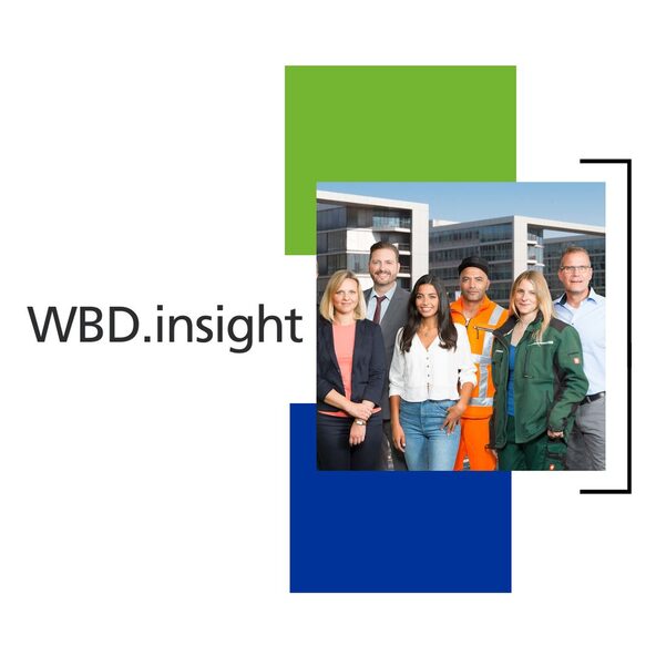 Logo WBD-insight
